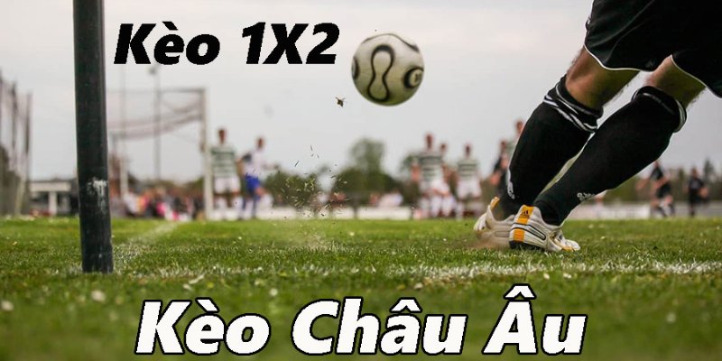 Hướng dẫn cách đọc kèo Châu Âu W88 siêu dễ