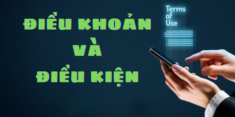 Những điều cơ bản nên biết về điều kiện và điều khoản